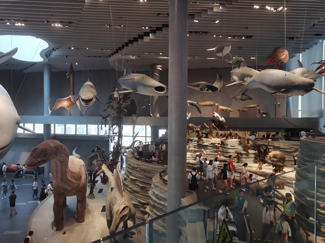 16+6，“走进申海”带你逛遍魔都海岸线