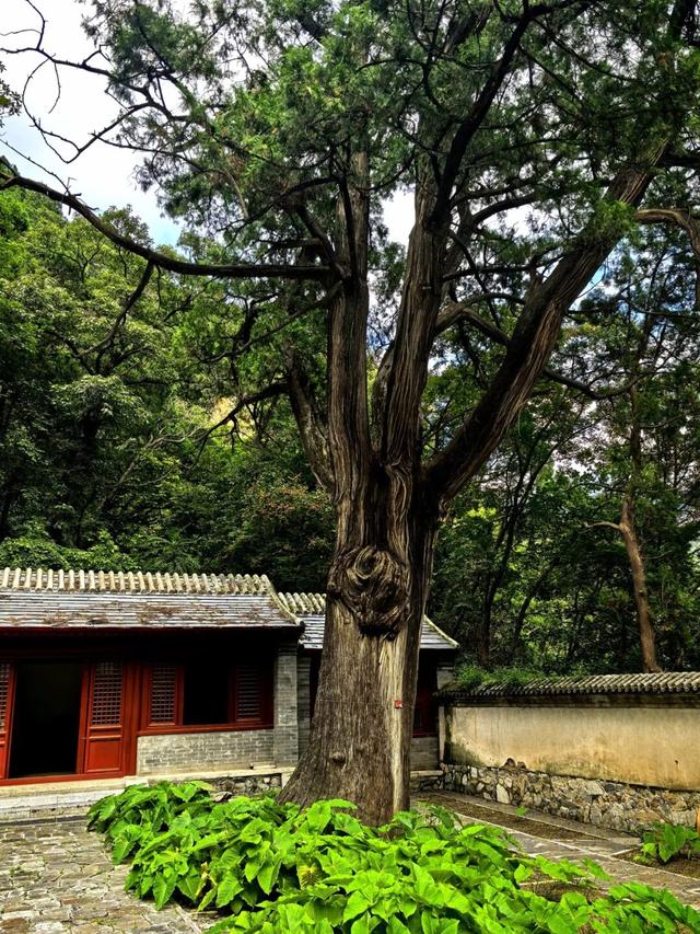讲台之外，另有课堂！教师节，去房山学点儿“不一样的”