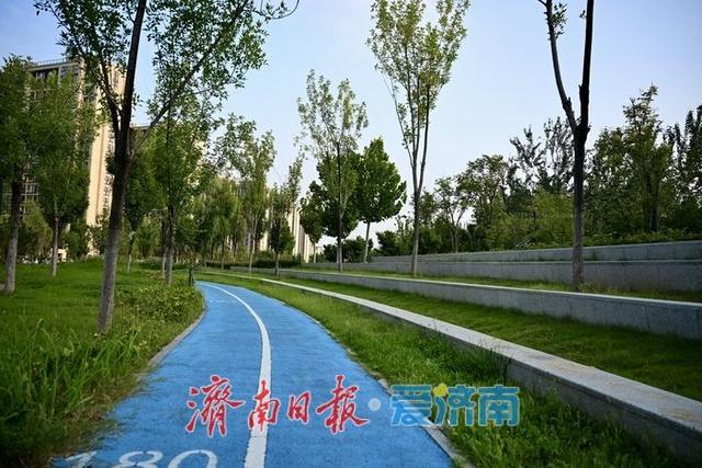 一年四季 泉在济南丨家门口的“绿色会客厅”：春风公园点亮西城居民生活​