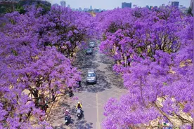 西风残照：永历和他的流亡路图片
