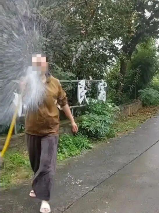 媒体：捡板栗被诬偷盗 景区有责任