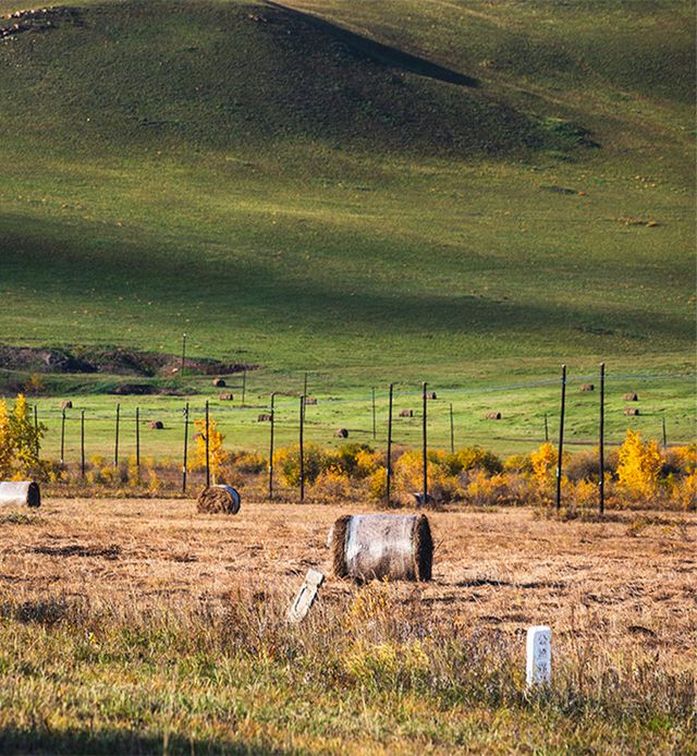 东阳这条研学线路，首批省级优秀！
