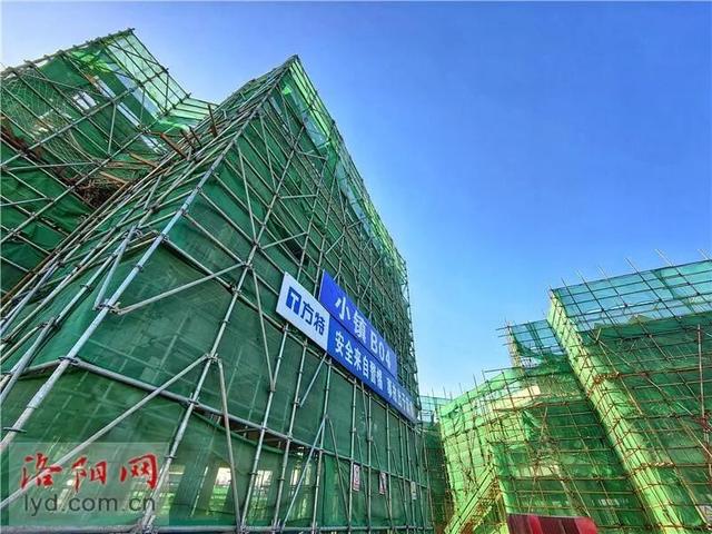 内部场景首次“曝光”！洛阳华夏历史文明传承创新产业园最新进展…