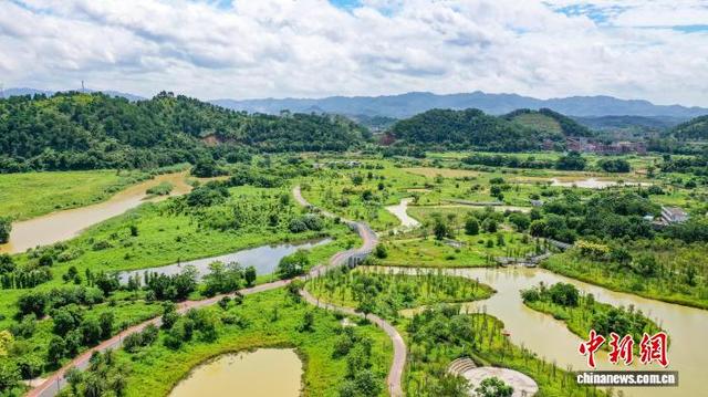 广西梧州：湿地公园景美如画