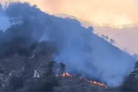 四川雅江县发生森林火情：已转移安置140余人 无人员伤亡图片