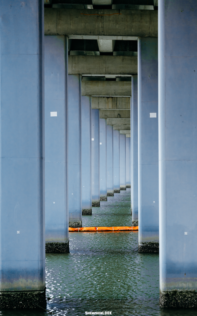 “看牛看海看夜景，深圳骑行路线精选”