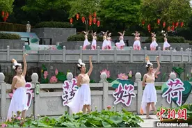 第36届广州番禺莲花文化旅游节开启图片