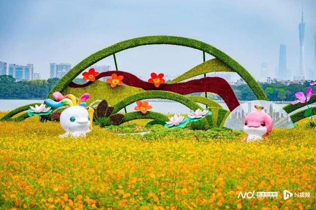海珠湖十五运会主题打卡点上新，花海湖景与广州塔同框出镜