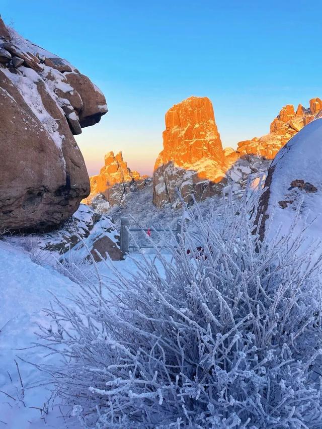火上热搜！雪后崂山美到刷屏，市民游客排队打卡！