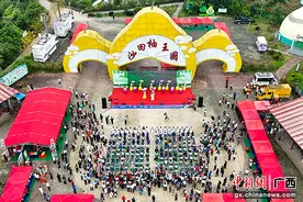 广西容县：花为“媒”节为“介” 助文促旅兴产业图片