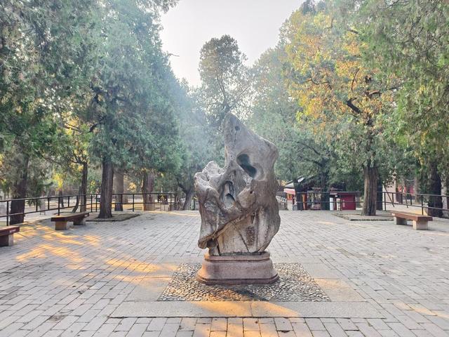 图集丨金秋岱庙美出圈 千年古银杏 “披金” 引客打卡