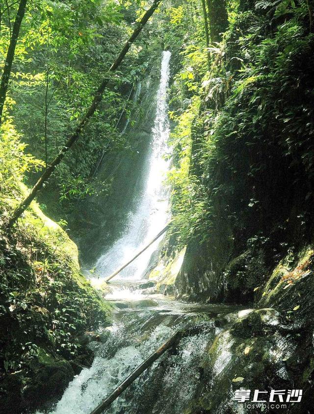 风裹竹香水带甜，在大围山寻一份盛夏清凉