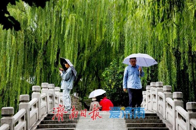 一年四季 泉在济南丨护城河畔细雨织轻纱 垂柳秋韵映清波