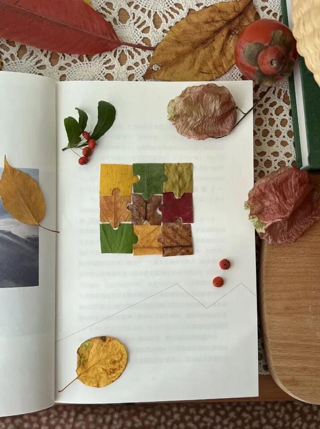 最美松湖 | 烦恼No，捡秋Go！来这里一键切换治愈模式