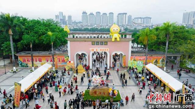 “柚”是一年好丰景 容县沙田柚文化旅游嘉年华举办