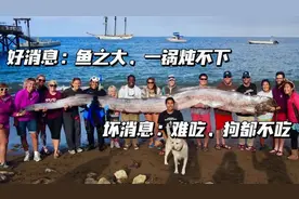 长相恐怖的“末日鱼”接连上岸，大灾难要来了吗？图片