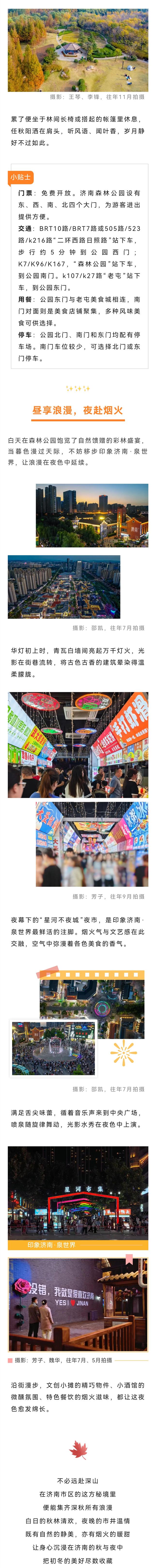 免费打卡！济南1000余亩“森林”，藏着秋末冬初的极致浪漫！