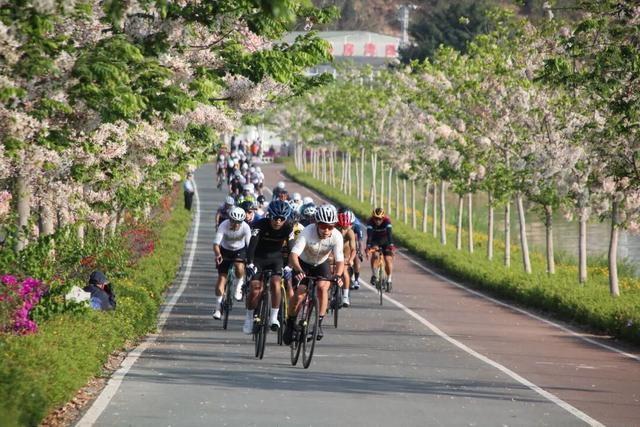 云南唯一！异龙湖环湖线入选“2025中国骑行地图”百条精品路线