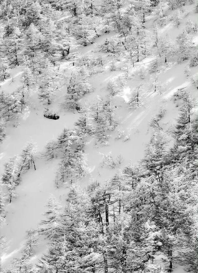 雪中太白山