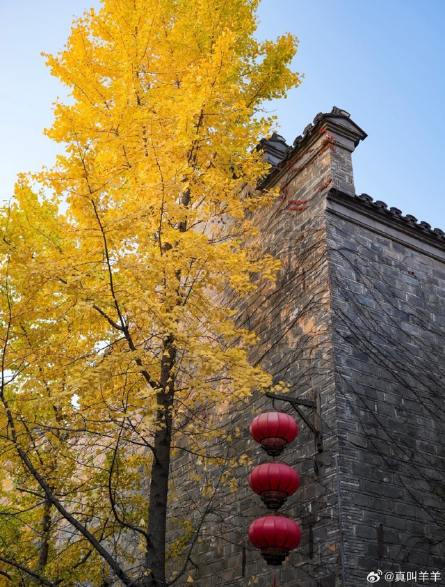 怎么能错过秦淮的秋天呢？