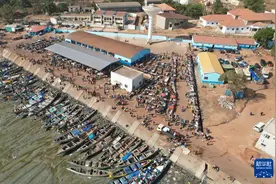 通讯丨逐梦西非的中国远洋捕捞队图片