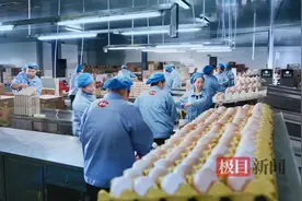 孝感神丹鸡蛋获“国字号”认定，为畜禽品类中湖北省唯一入选的品牌图片
