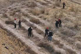 新疆阿克苏市：植树造林为乡村添绿图片