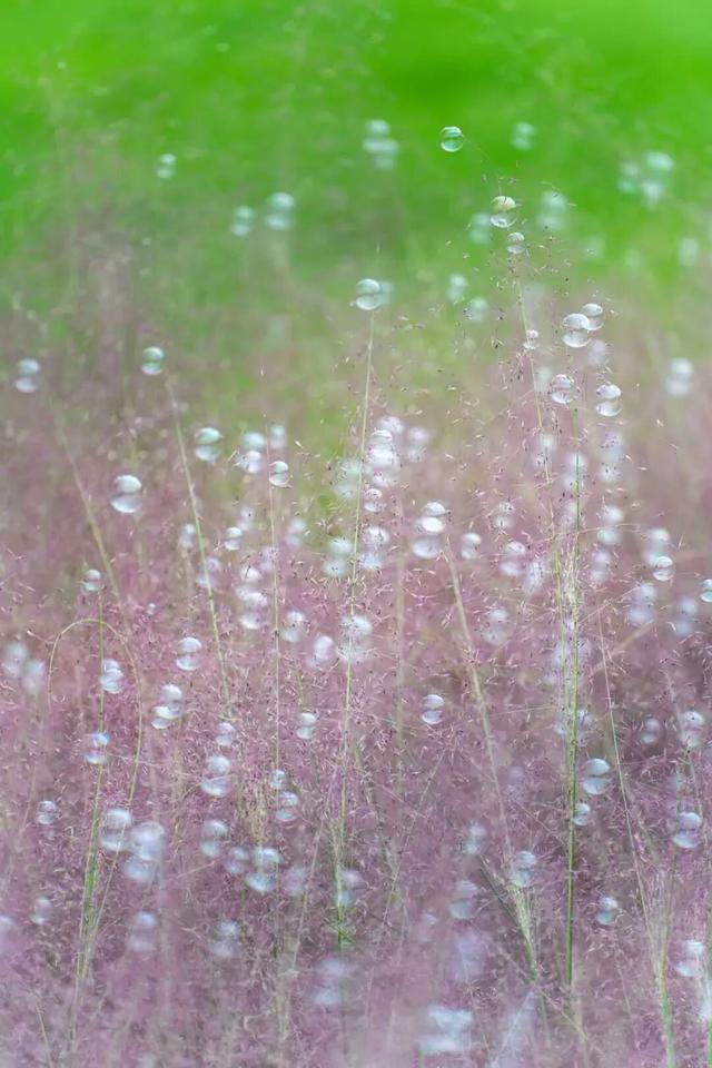 苏州的秋天，给你点“颜色”看看！