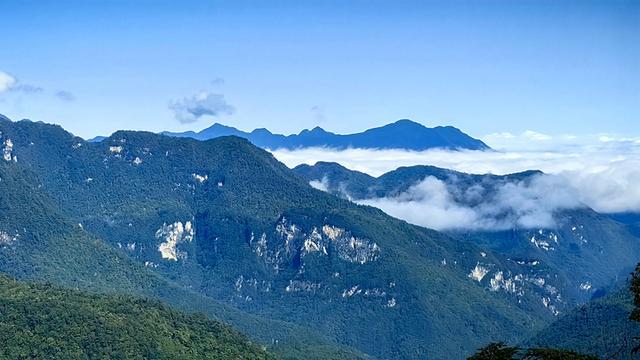 汤朔梅：在神农架