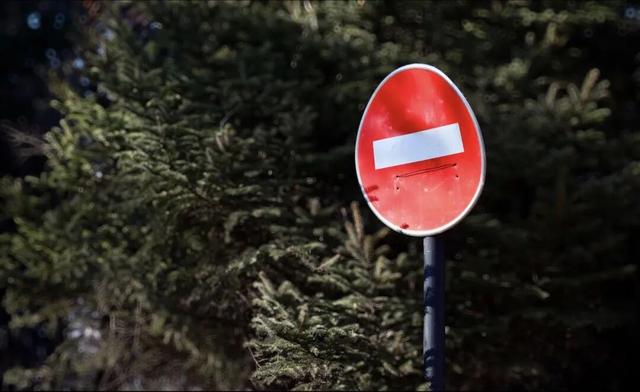 安全游园 文明游园 畅享生态之美