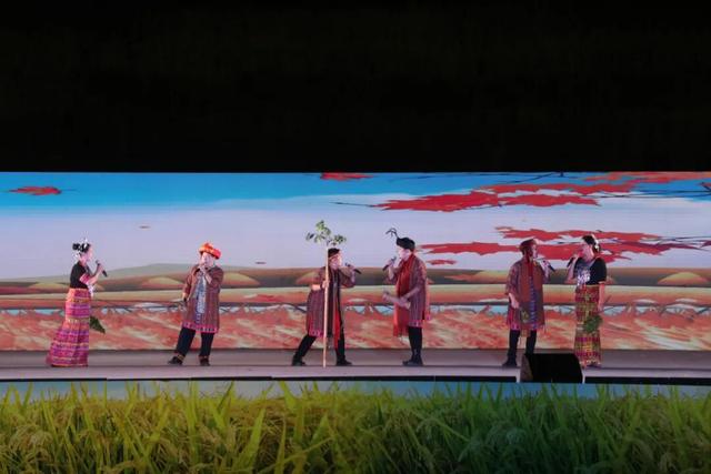 多图+视频！一起回看2025年白沙“啦奥门”雨林与您山兰文化活动精彩瞬间