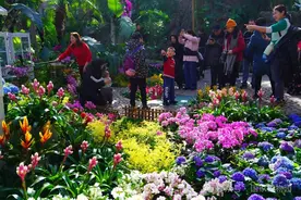 国家植物园赏兰到十五图片