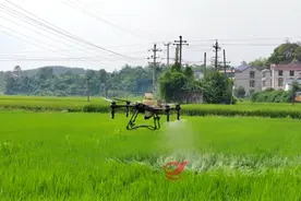 攸县：“一喷多促”精准防控 确保秋粮稳产丰产图片