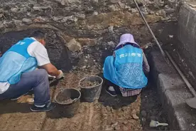 净地入库 四川眉山出台《土地储备考古前置管理办法》图片