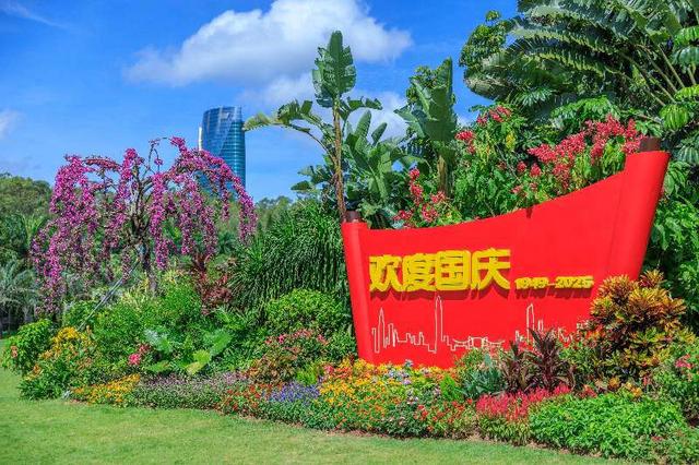 花团锦簇迎国庆！深圳公园40+活动邀你玩个够