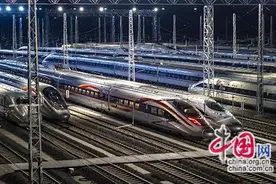 时评:购票认准12306，别让焦虑蒙蔽双眼图片