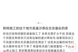 永定河崖沙燕栖息地将被拆除？水务部门回应：已停工护鸟，正研究保护办法图片