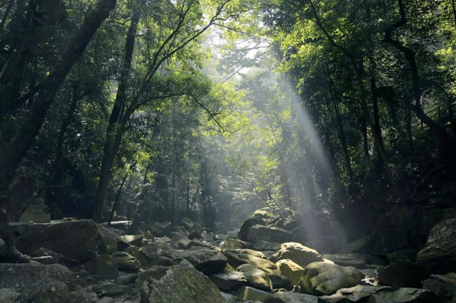 明天启动报名！肇庆，不止山水~