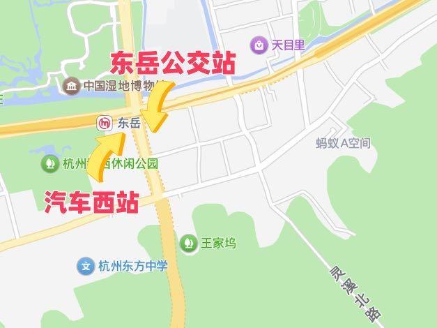 西湖赏秋更便捷！这两条团队接驳专线，“大巴+公交”无缝衔接
