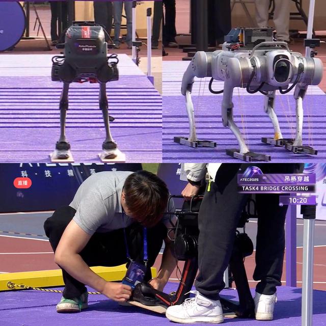 机器人集体到香港户外极限挑战，狗比人强