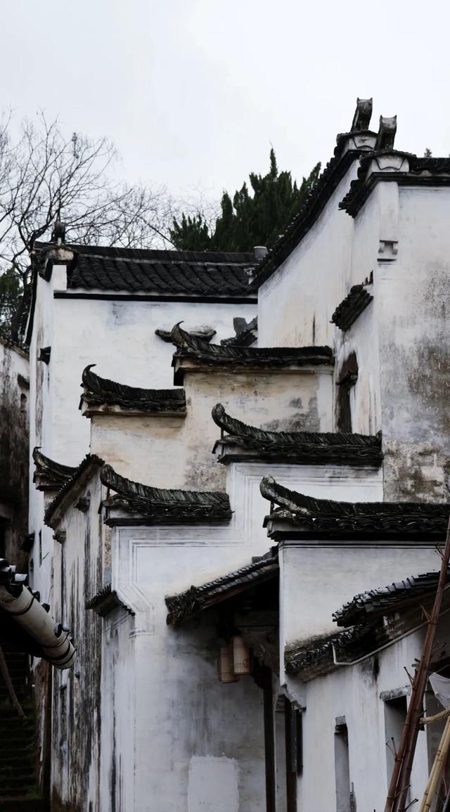 晚潮｜诸葛•不八卦