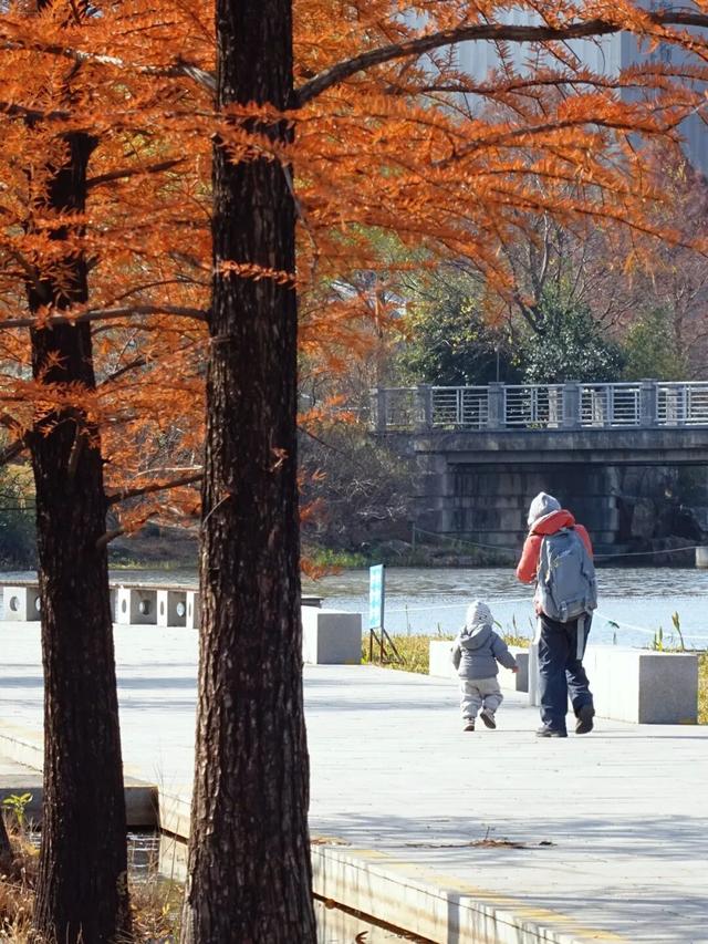 别宅啦！闵行的冬日浪漫，从艺术馆到公园都给你安排好了→