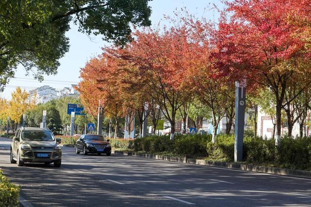 福建武夷山：车在路上行 人在画中游