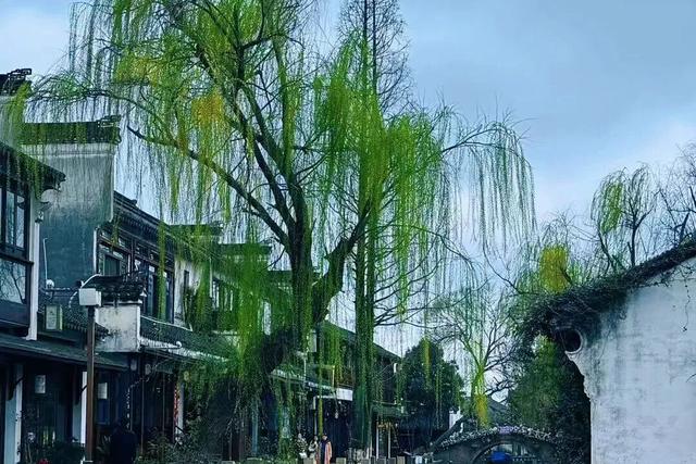 沿沪宁好去处丨苏超冠军城市有何看点？从西站出发，上海普陀→泰州走起