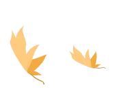 花海走起！湛江秋日限定打卡点！