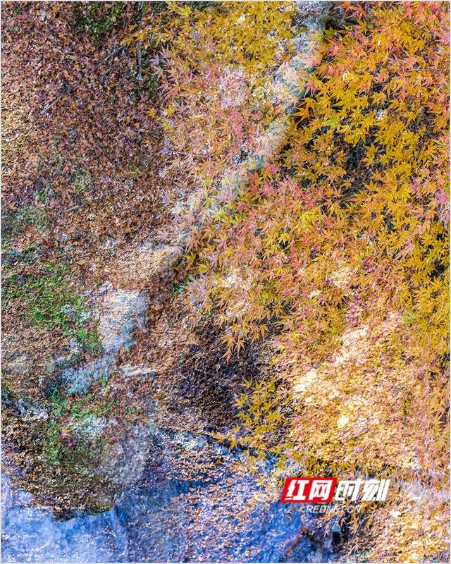 潘华摄影作品：漫步永州蓝山谷 邂逅湘江源头的层林尽染