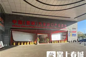 构建一站式服务体系 盘龙区商投局力创汽车出口新标杆图片