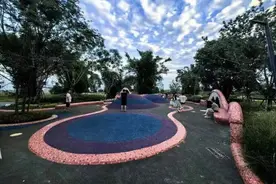 看飞机又添好去处  成都双流环港绿洲公园全面建成图片