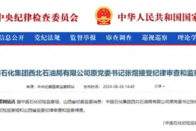 张煜被查！图片