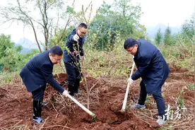 绿美满瑶山！连南人大代表种下千株山樱花图片